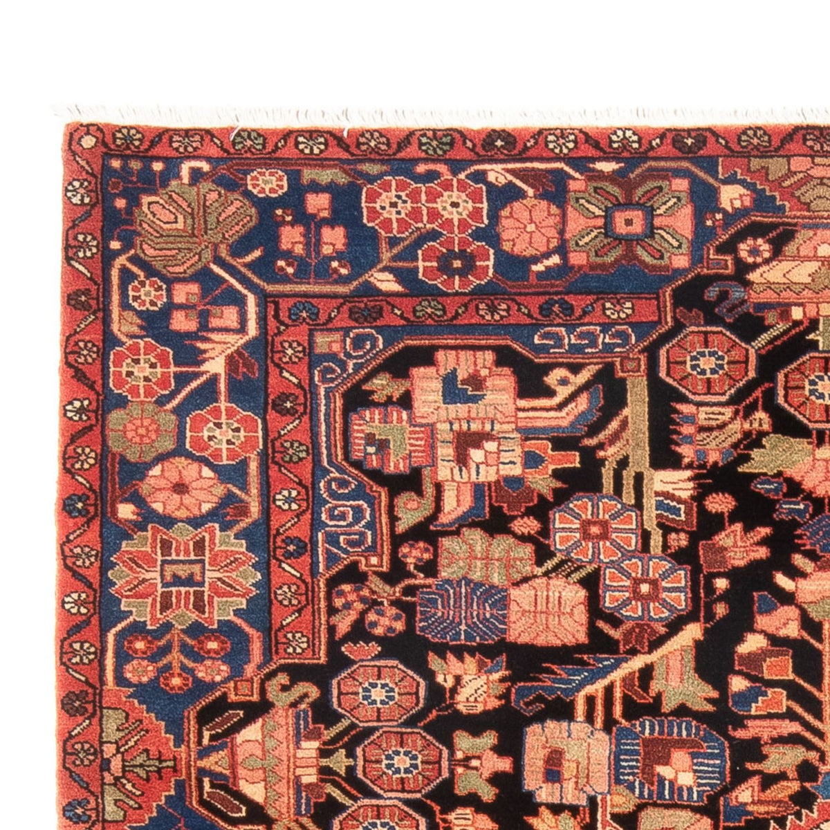 Nahavand Tappeto 234x158cm - Tappeto persiano
