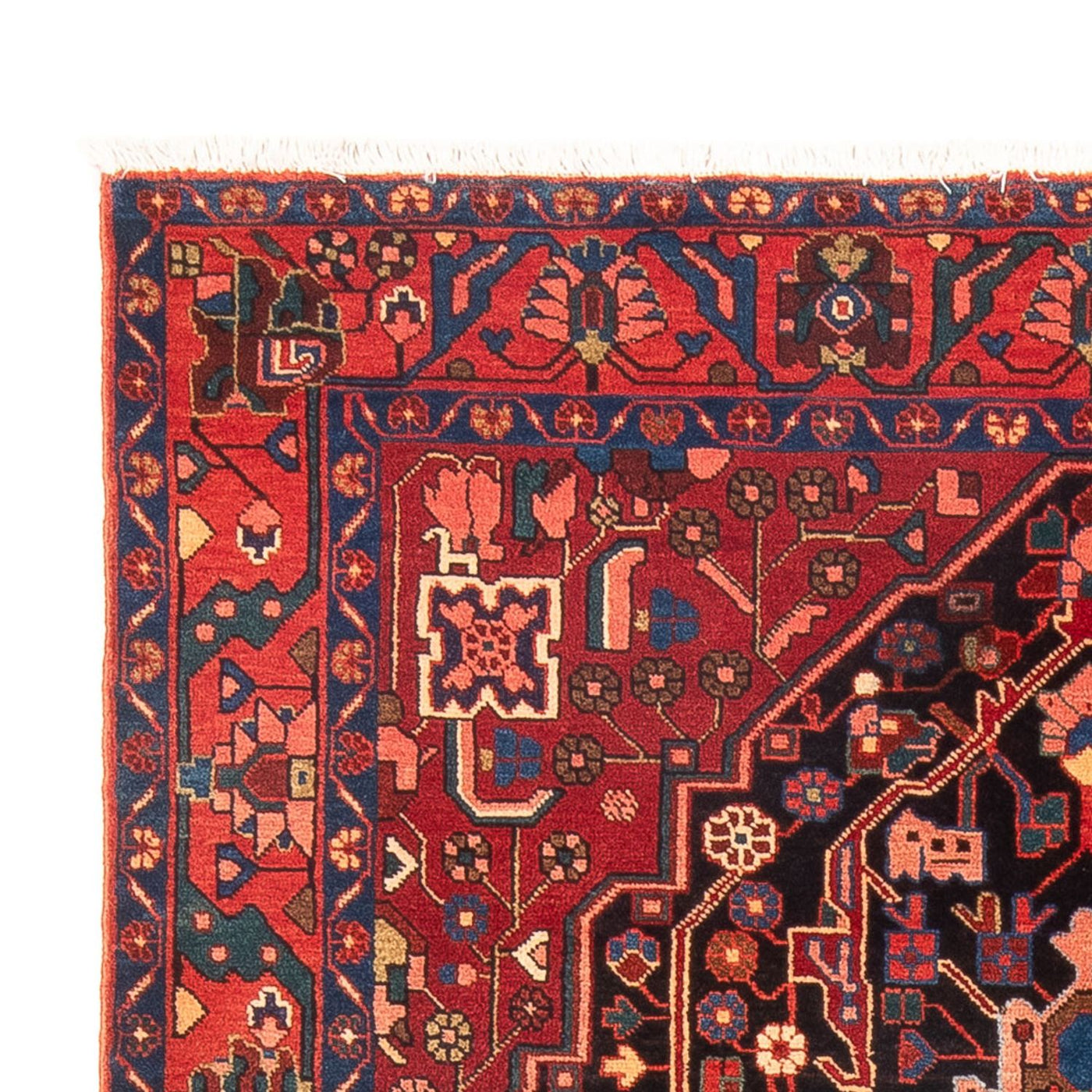 Nahavand Tappeto 235x146cm - Tappeto persiano