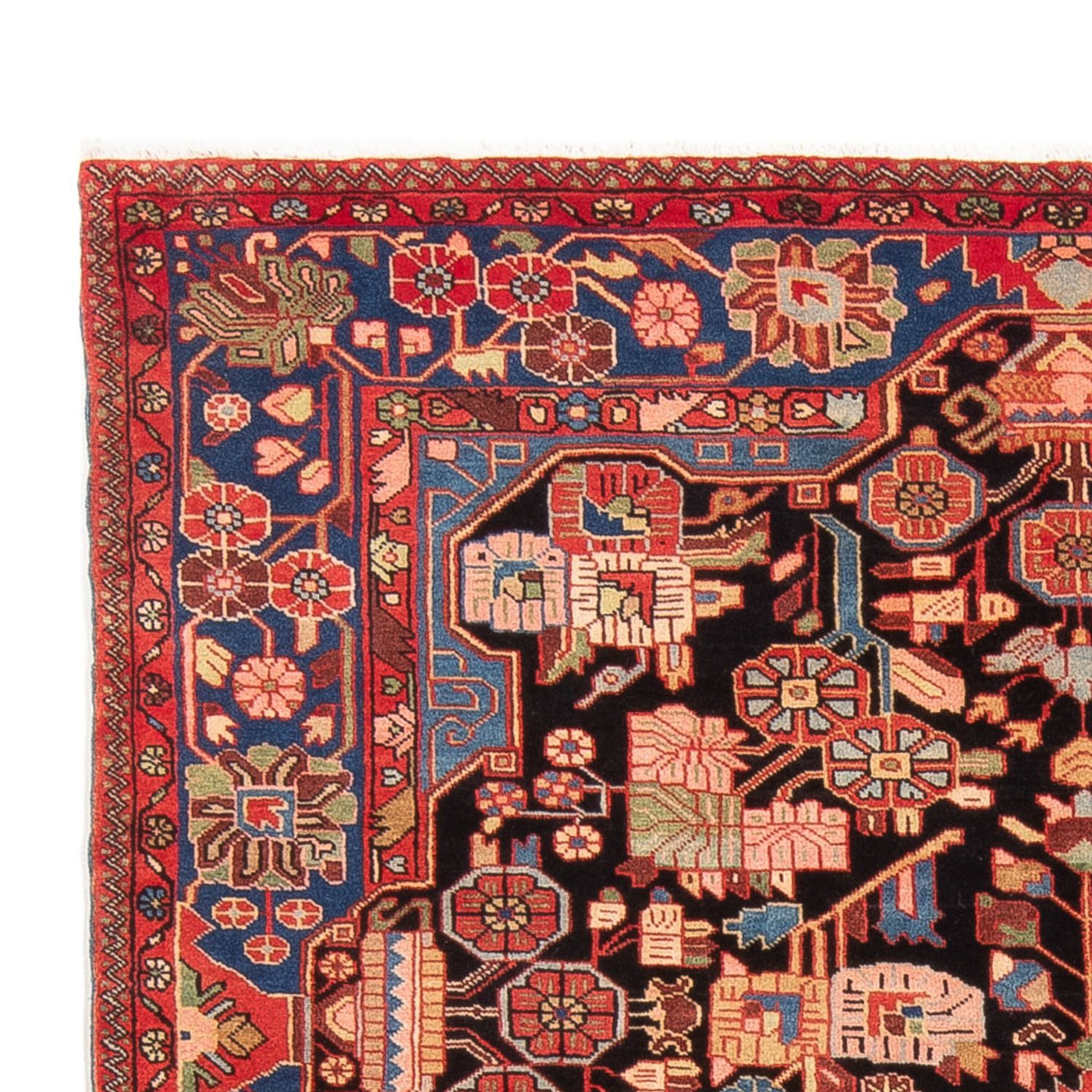 Nahavand Tappeto 240x156cm - Tappeto persiano