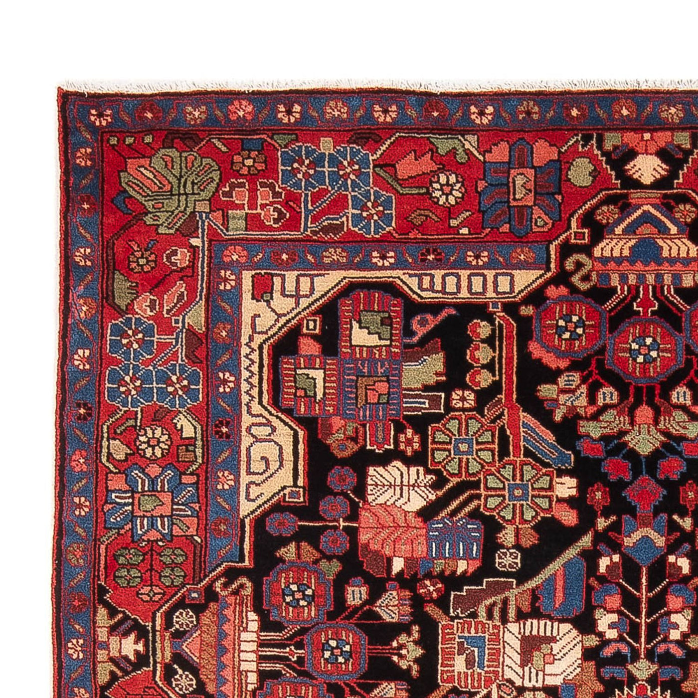 Nahavand Tappeto 240x153cm - Tappeto persiano