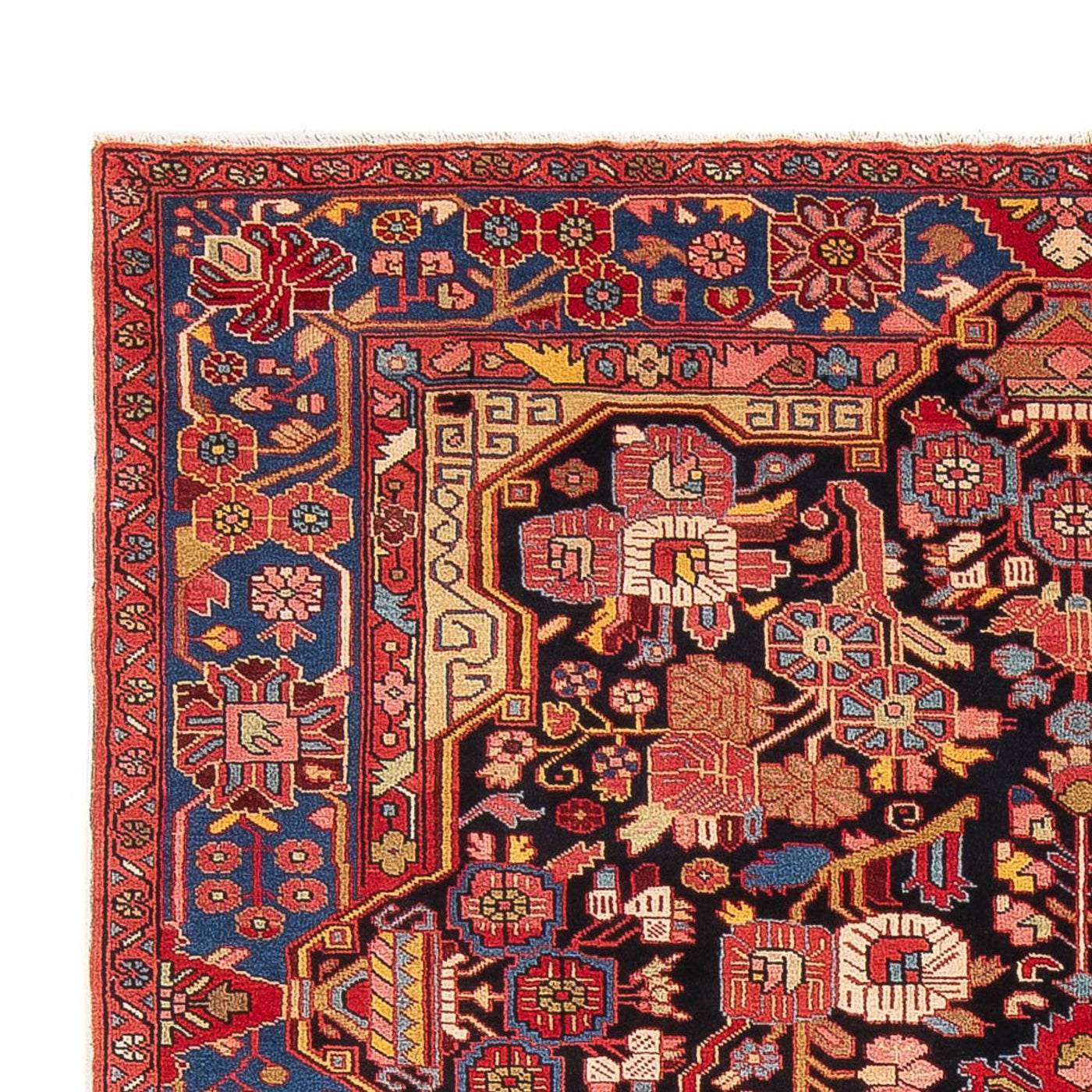 Nahavand Tappeto 230x160cm - Tappeto persiano