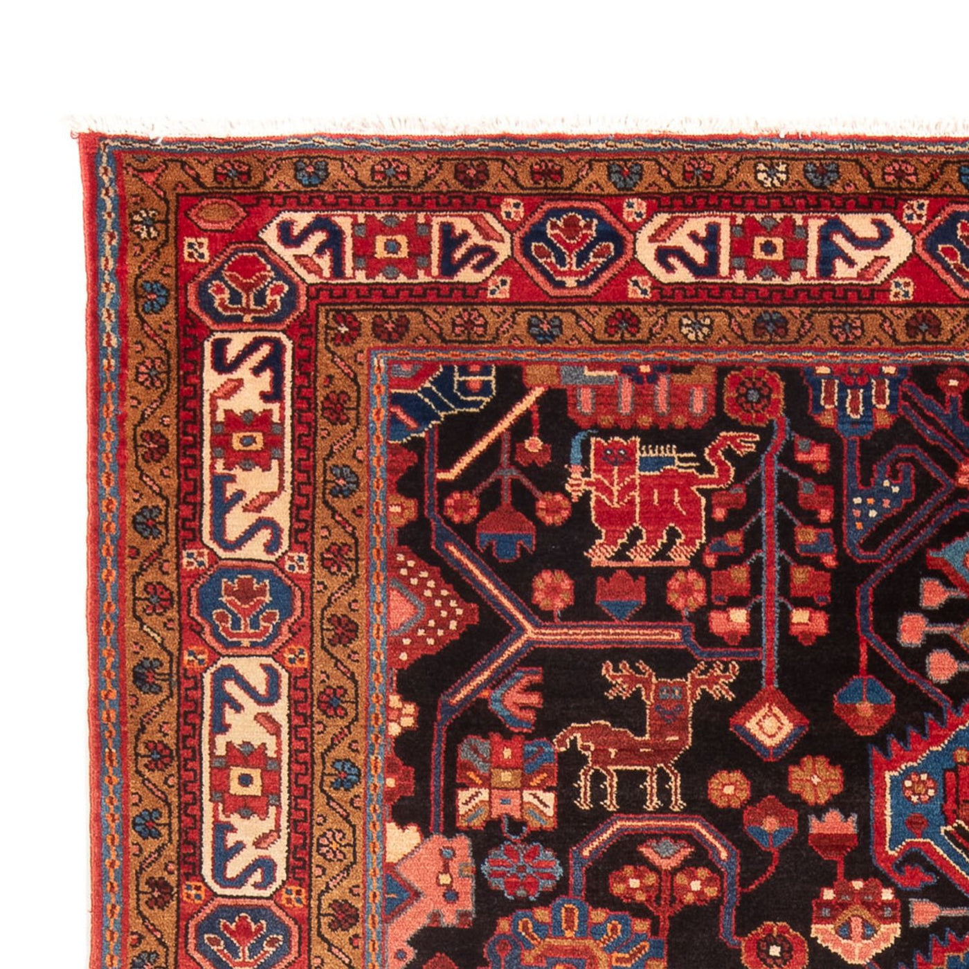 Hamadan Tappeto 273x153cm - Tappeto persiano