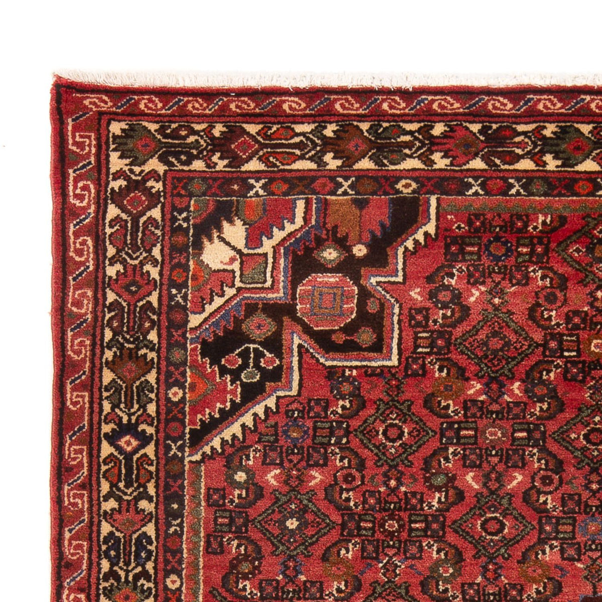Hamadan Tappeto 220x155cm - Tappeto persiano