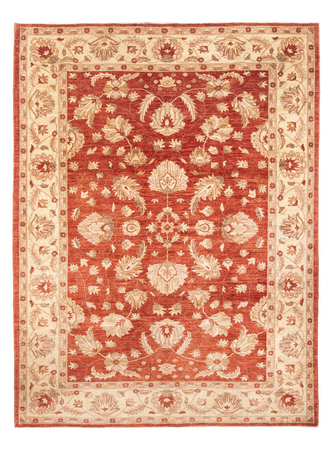 Tappeto Ziegler - 367 x 271 cm - rosso