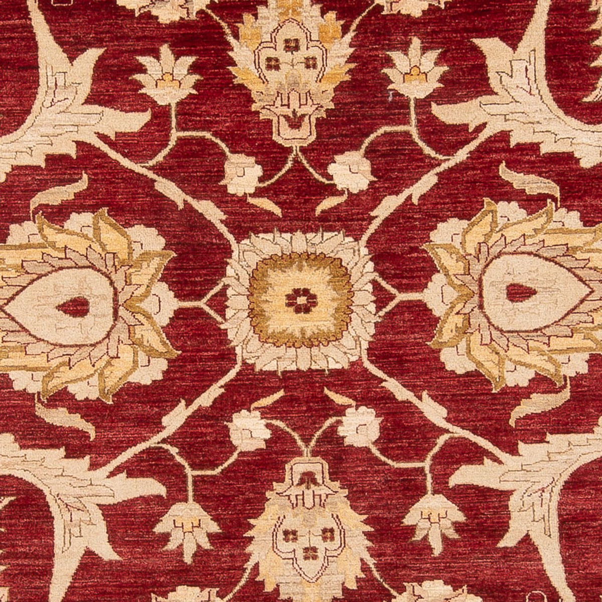 Tappeto Ziegler - 371 x 298 cm - rosso