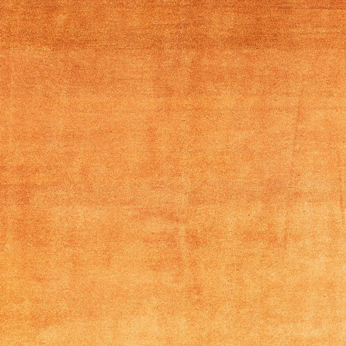 Tappeto Gabbeh - Persero - 286 x 225 cm - oro