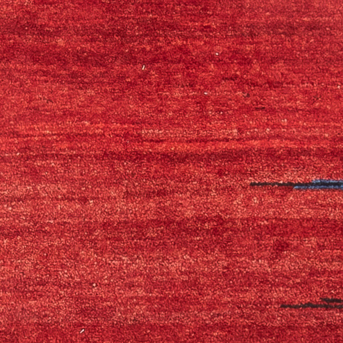 Tappeto corsia Tappeto Gabbeh - Persero - 220 x 70 cm - multicolore