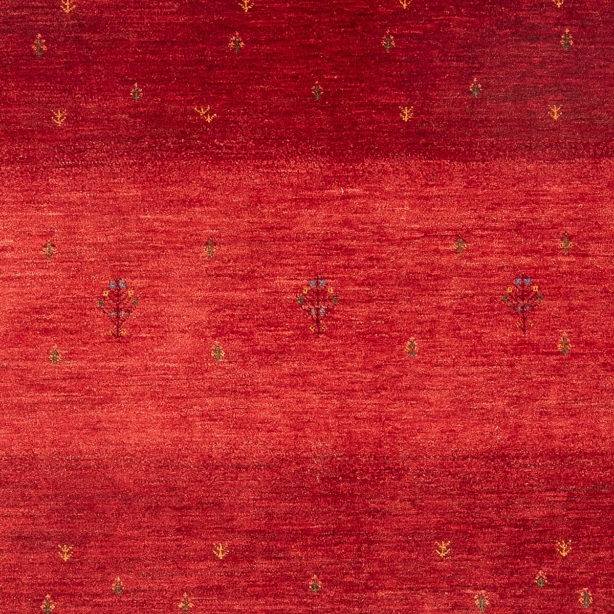 Tappeto Gabbeh - Loribaft Persero - 257 x 173 cm - rosso