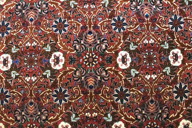 Tappeto Persero - Bidjar - 298 x 207 cm - rosso
