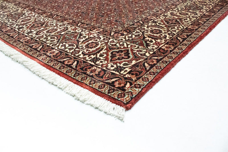 Tappeto Persero - Bidjar - 300 x 204 cm - rosso