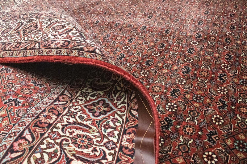 Tappeto Persero - Bidjar - 300 x 204 cm - rosso