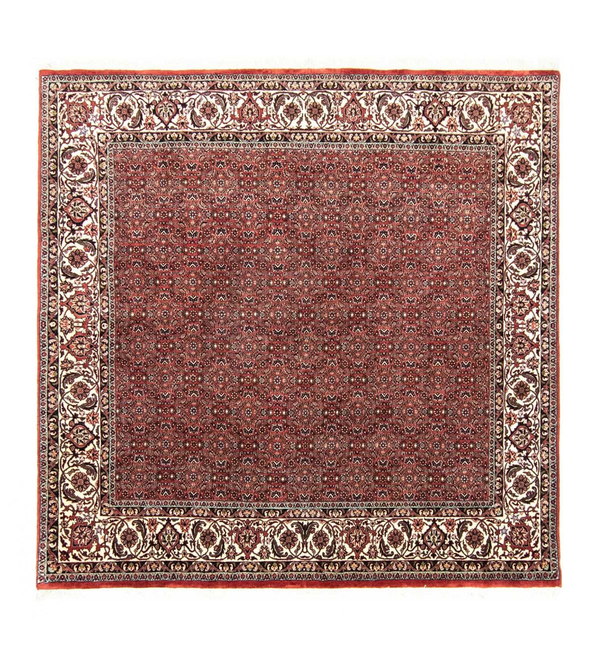 Tappeto Persero - Bidjar quadrato  - 203 x 201 cm - rosso