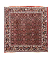 Tappeto Persero - Bidjar quadrato  - 210 x 210 cm - rosso