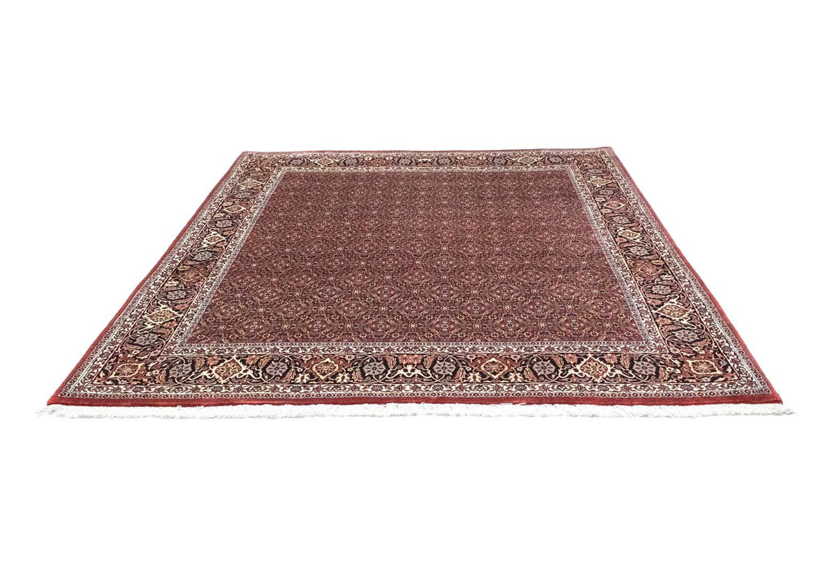 Tappeto Persero - Bidjar quadrato  - 210 x 210 cm - rosso