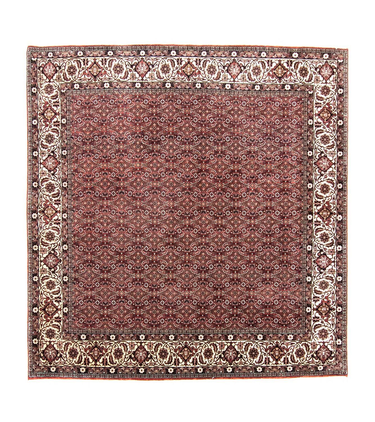 Tappeto Persero - Bidjar quadrato  - 210 x 203 cm - rosso