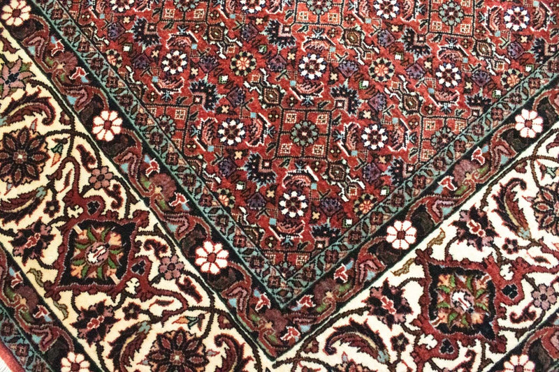 Tappeto Persero - Bidjar quadrato  - 210 x 203 cm - rosso