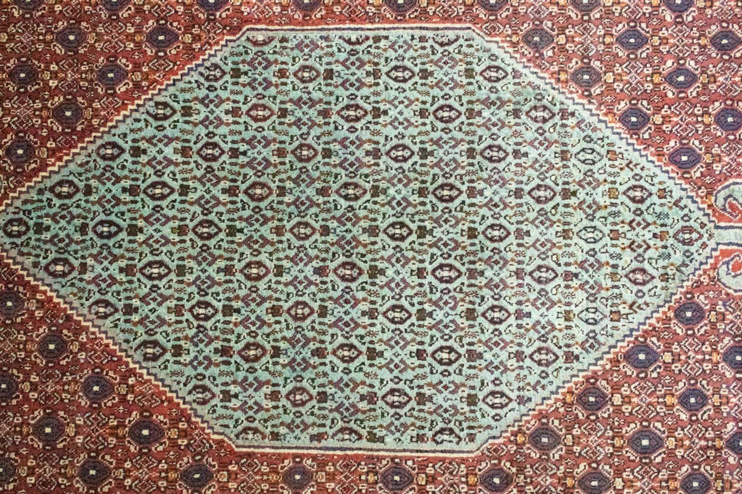 Tappeto Persero - Classico - 299 x 198 cm - blu