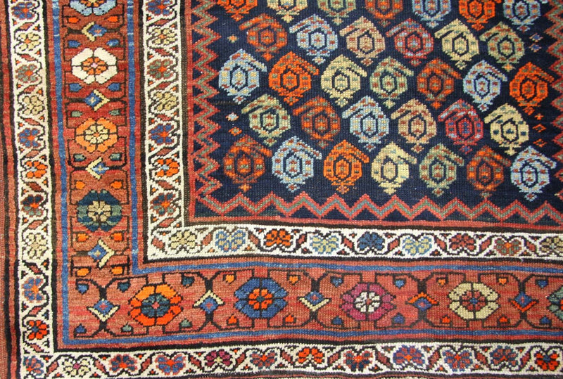 Tappeto corsia Tappeto Ziegler - Shirvan - 440 x 113 cm - marrone