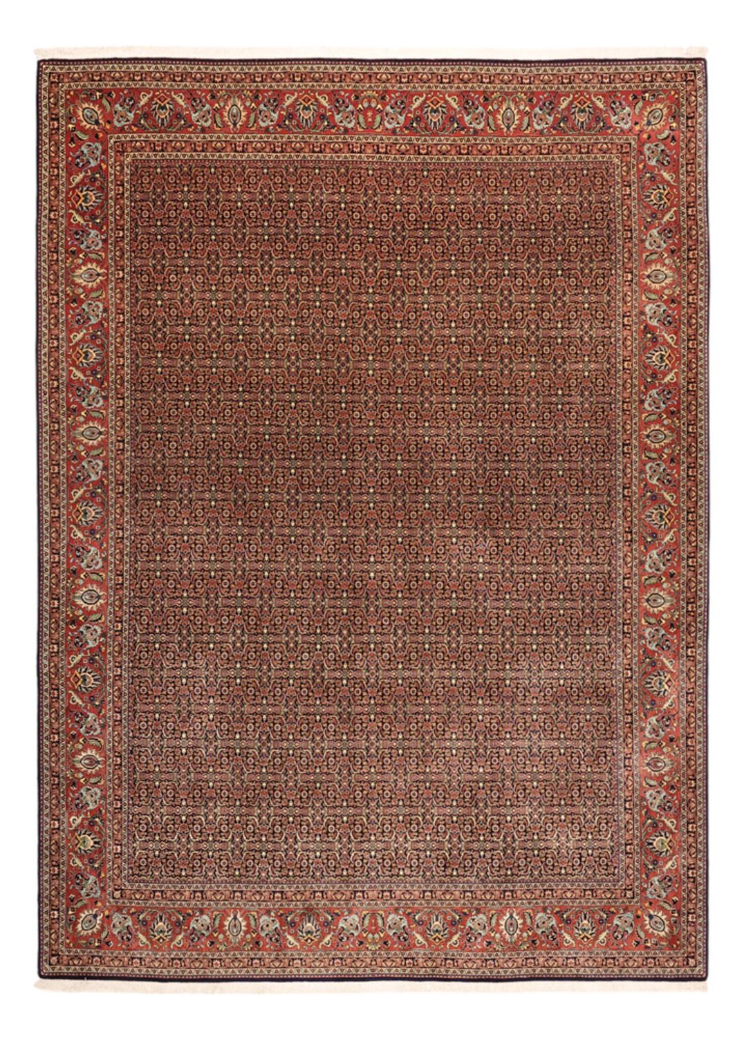Tappeto Persero - Bidjar - Reale - 342 x 252 cm - terracotta