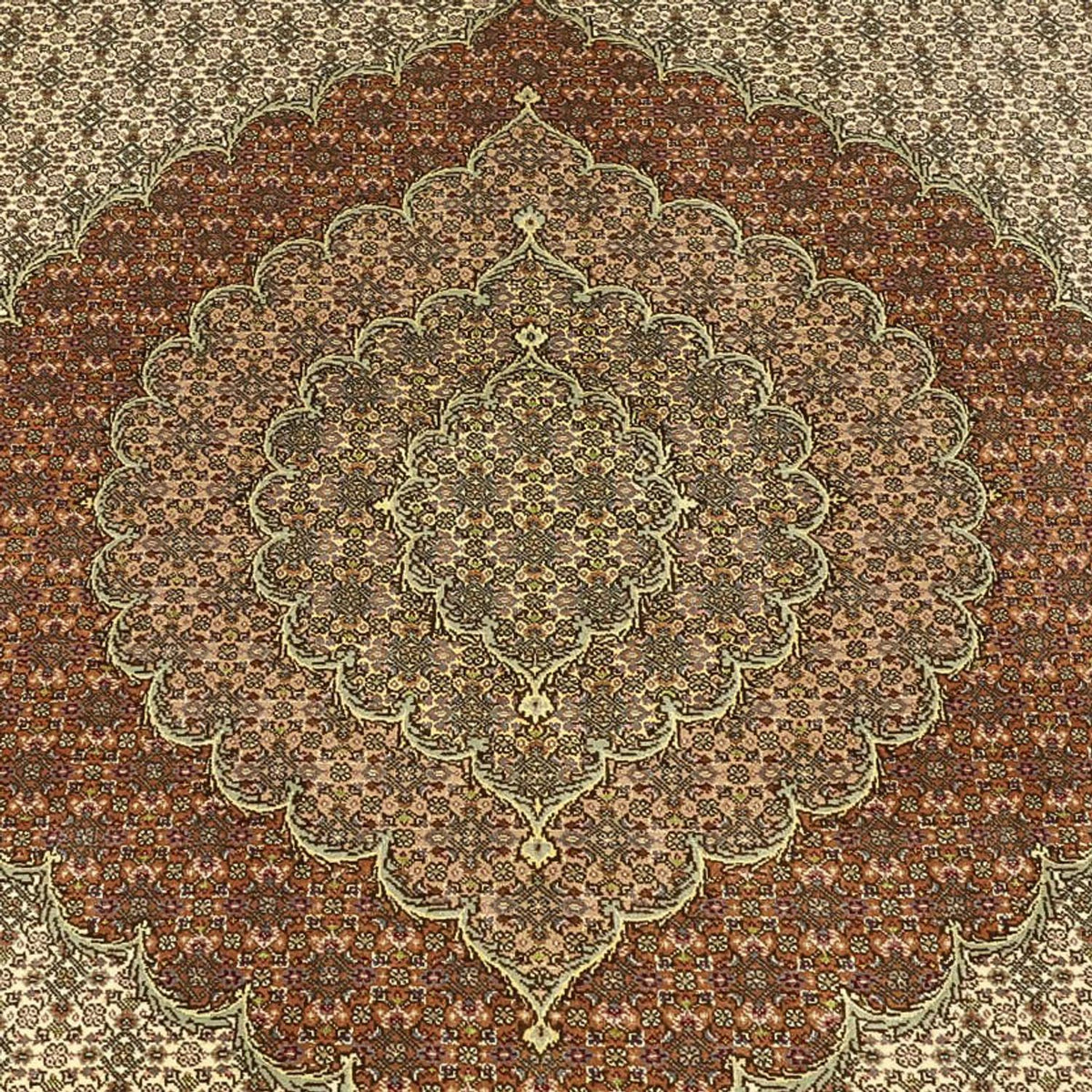Tappeto Persero - Tabriz - Reale - Reale - 336 x 252 cm - taupe