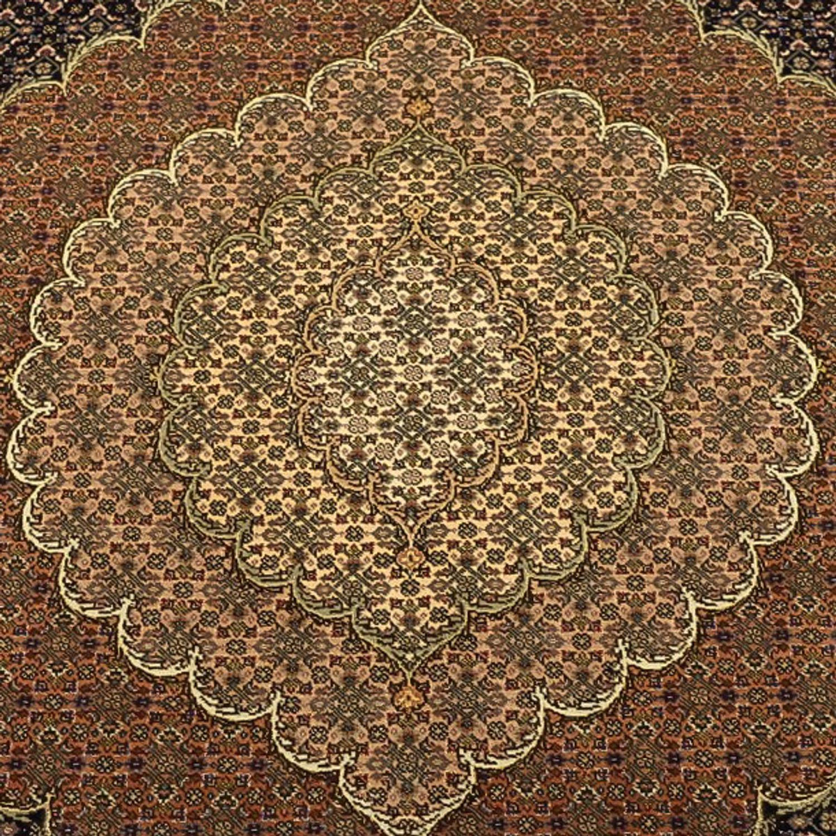 Tappeto Persero - Tabriz - Reale - Reale - 354 x 248 cm - marrone scuro