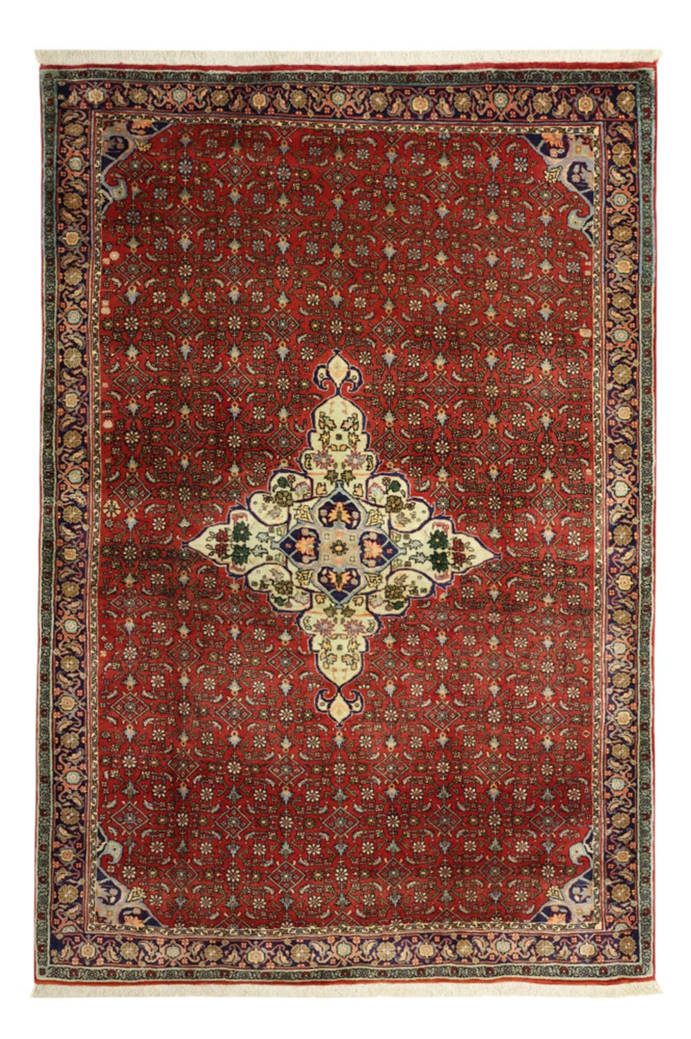 Tappeto Persero - Bidjar - 217 x 144 cm - rosso