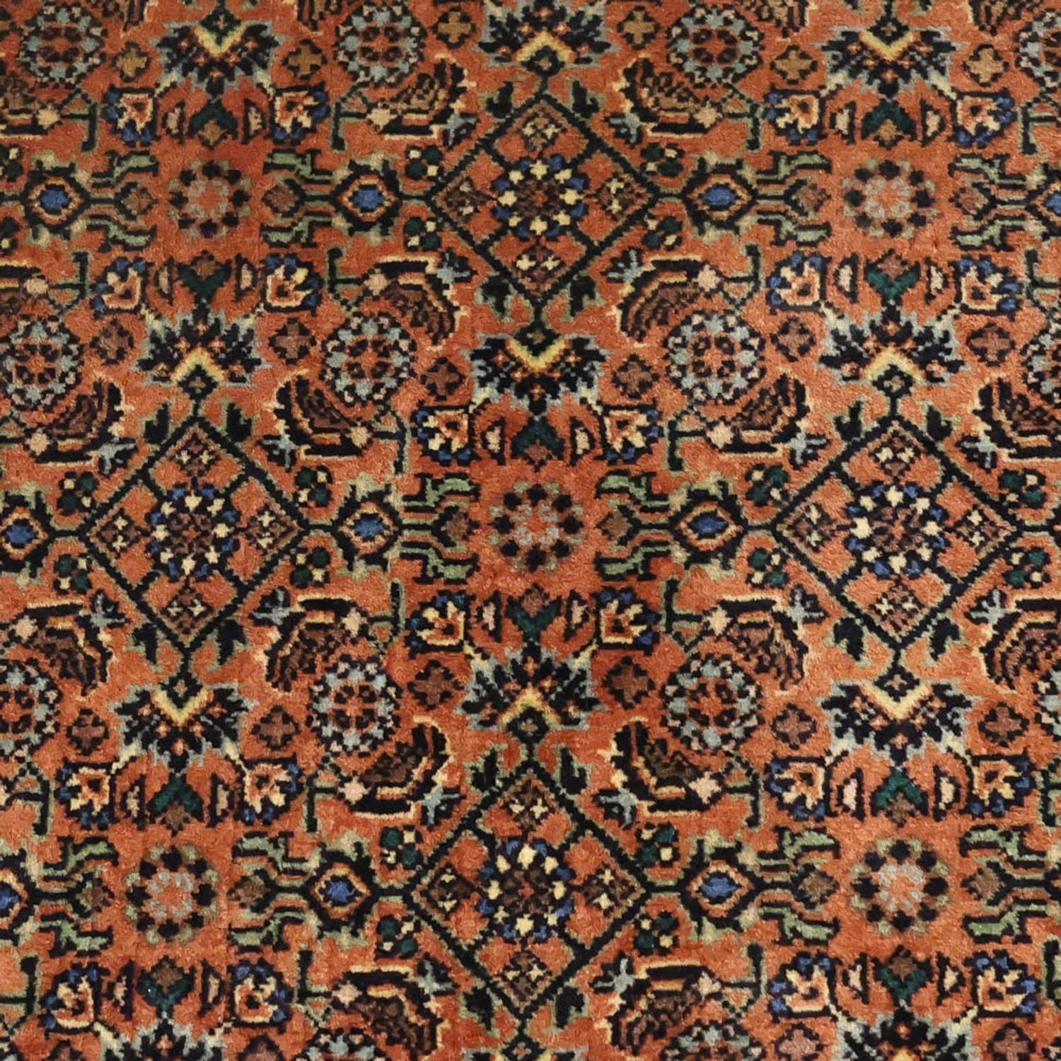 Tappeto Persero - Bidjar - 144 x 71 cm - beige scuro