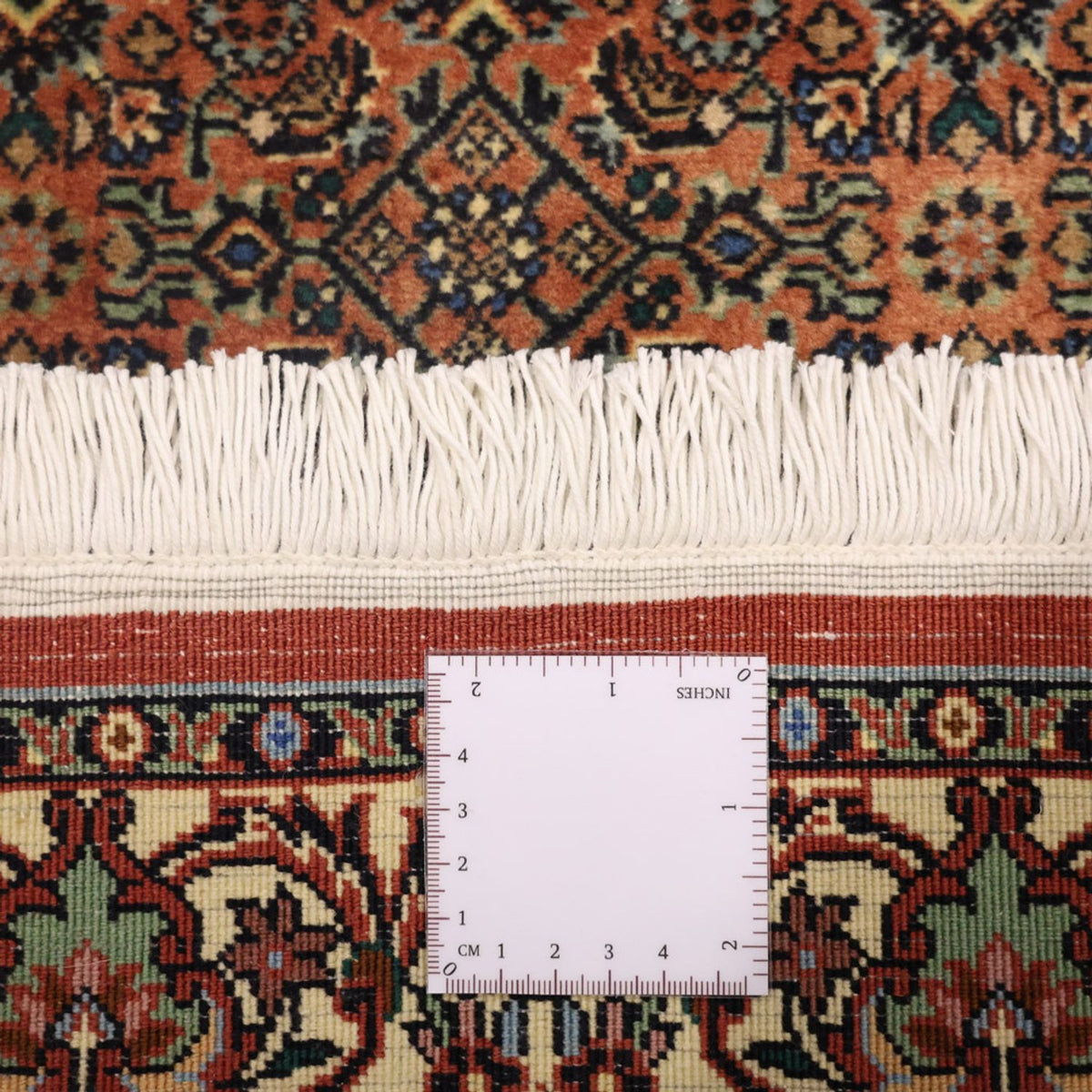 Tappeto Persero - Bidjar - 144 x 71 cm - beige scuro