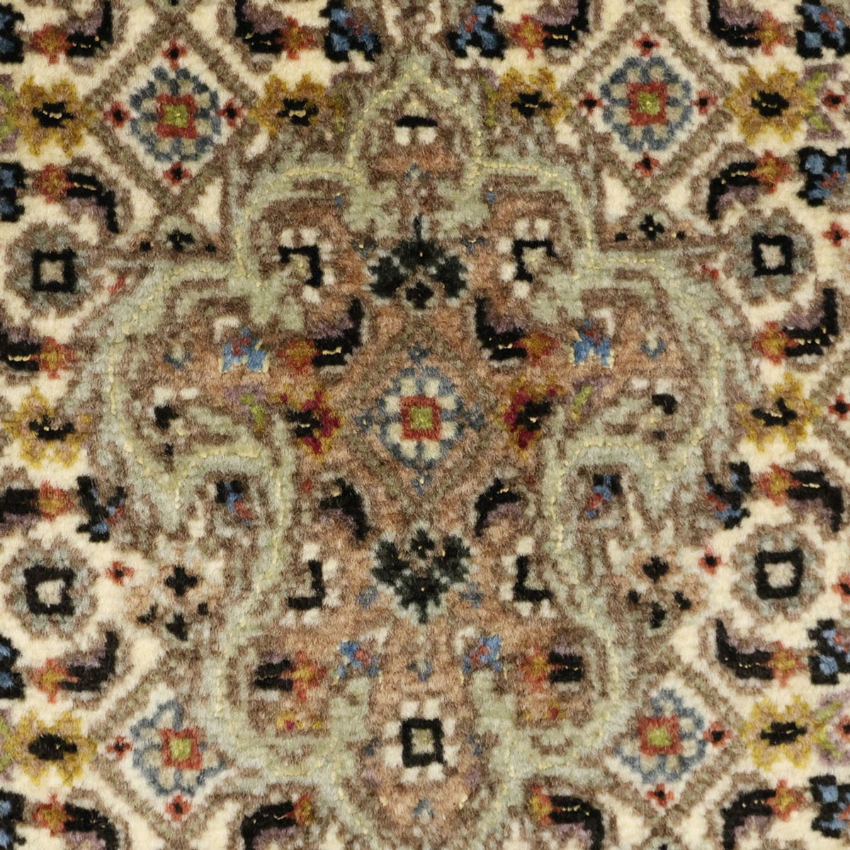 Tappeto Persero - Tabriz - Reale - 152 x 101 cm - verde oliva