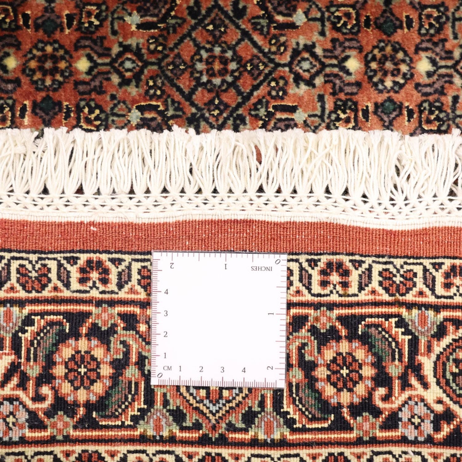 Tappeto Persero - Bidjar - 151 x 87 cm - beige scuro