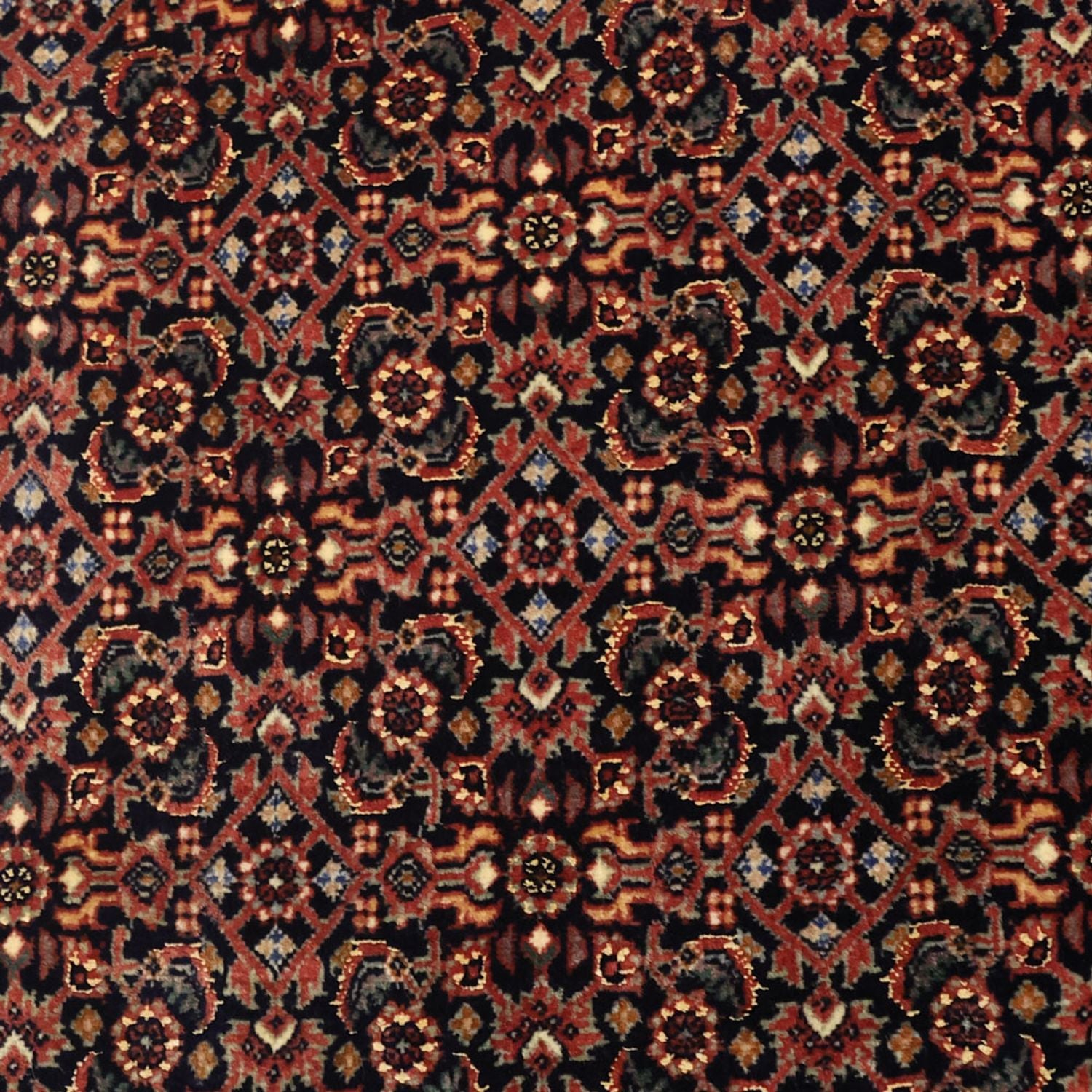 Tappeto Persero - Bidjar - 152 x 88 cm - beige scuro