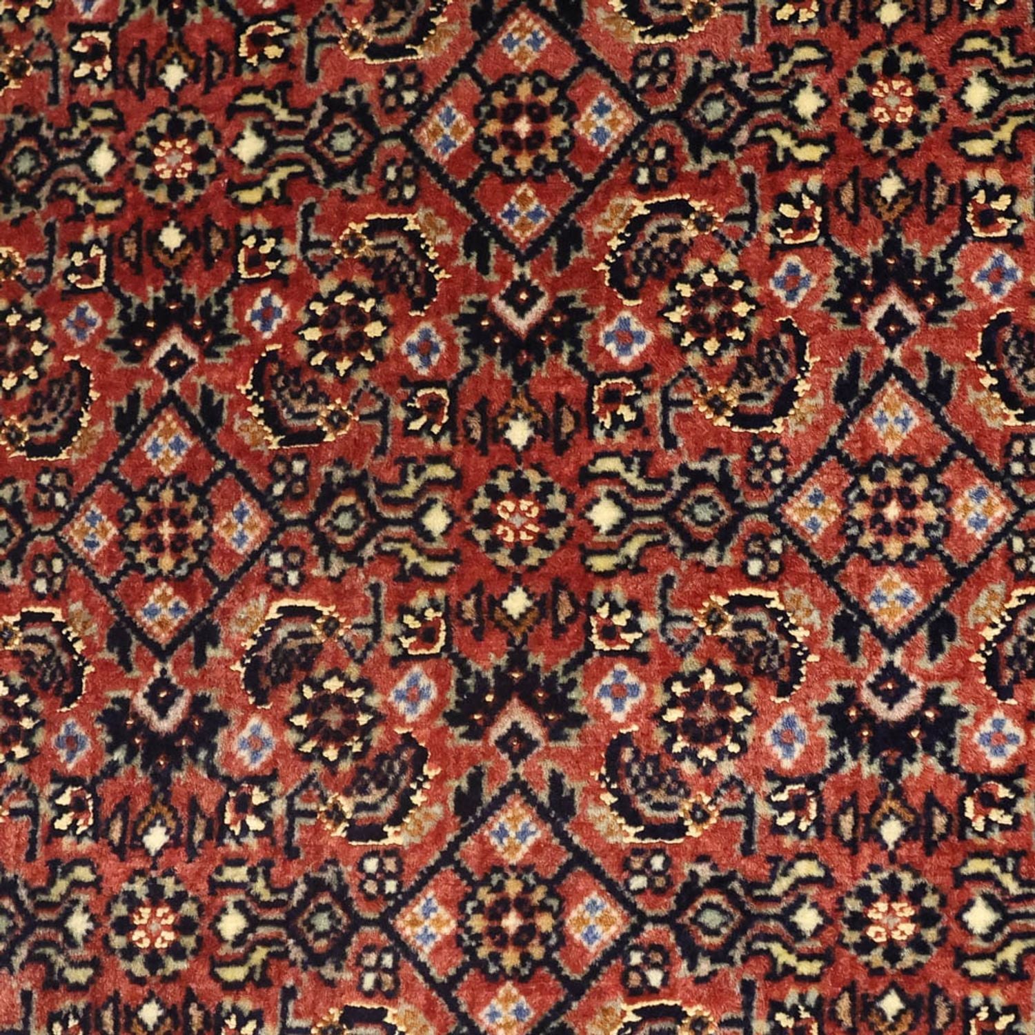 Tappeto Persero - Bidjar - 142 x 72 cm - beige scuro