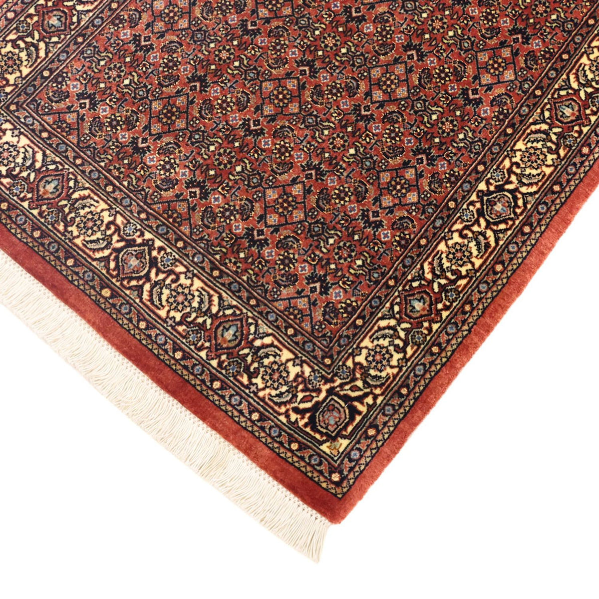 Tappeto Persero - Bidjar - 142 x 72 cm - beige scuro