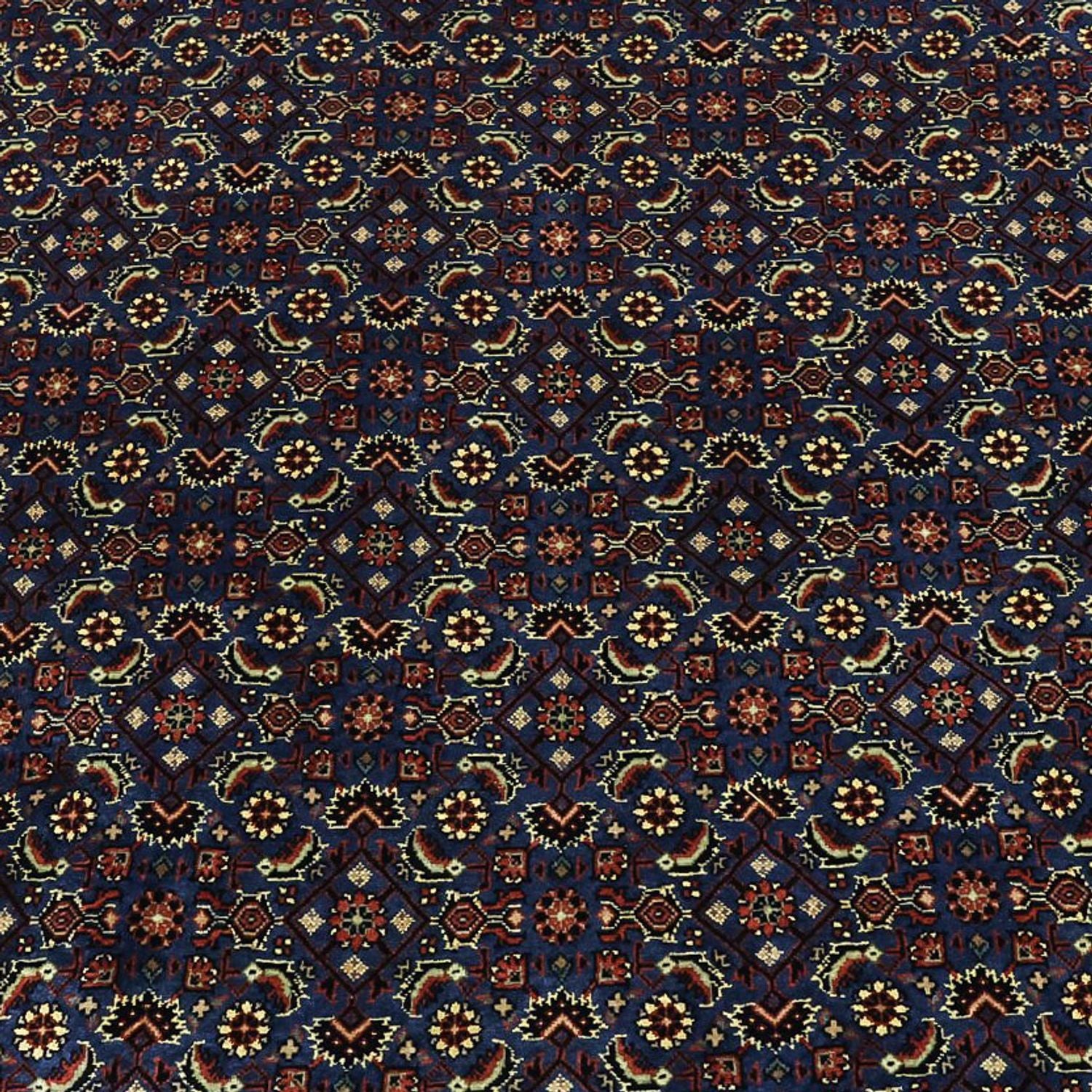 Tappeto Persero - Bidjar - Reale - 319 x 256 cm - blu scuro