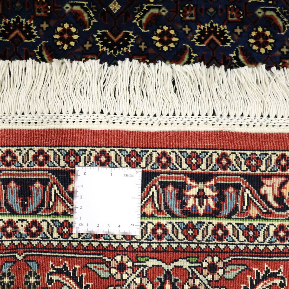 Tappeto Persero - Bidjar - Reale - 319 x 256 cm - blu scuro