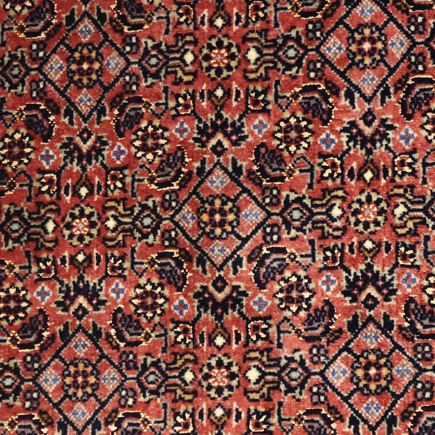 Tappeto Persero - Bidjar - 148 x 90 cm - ruggine