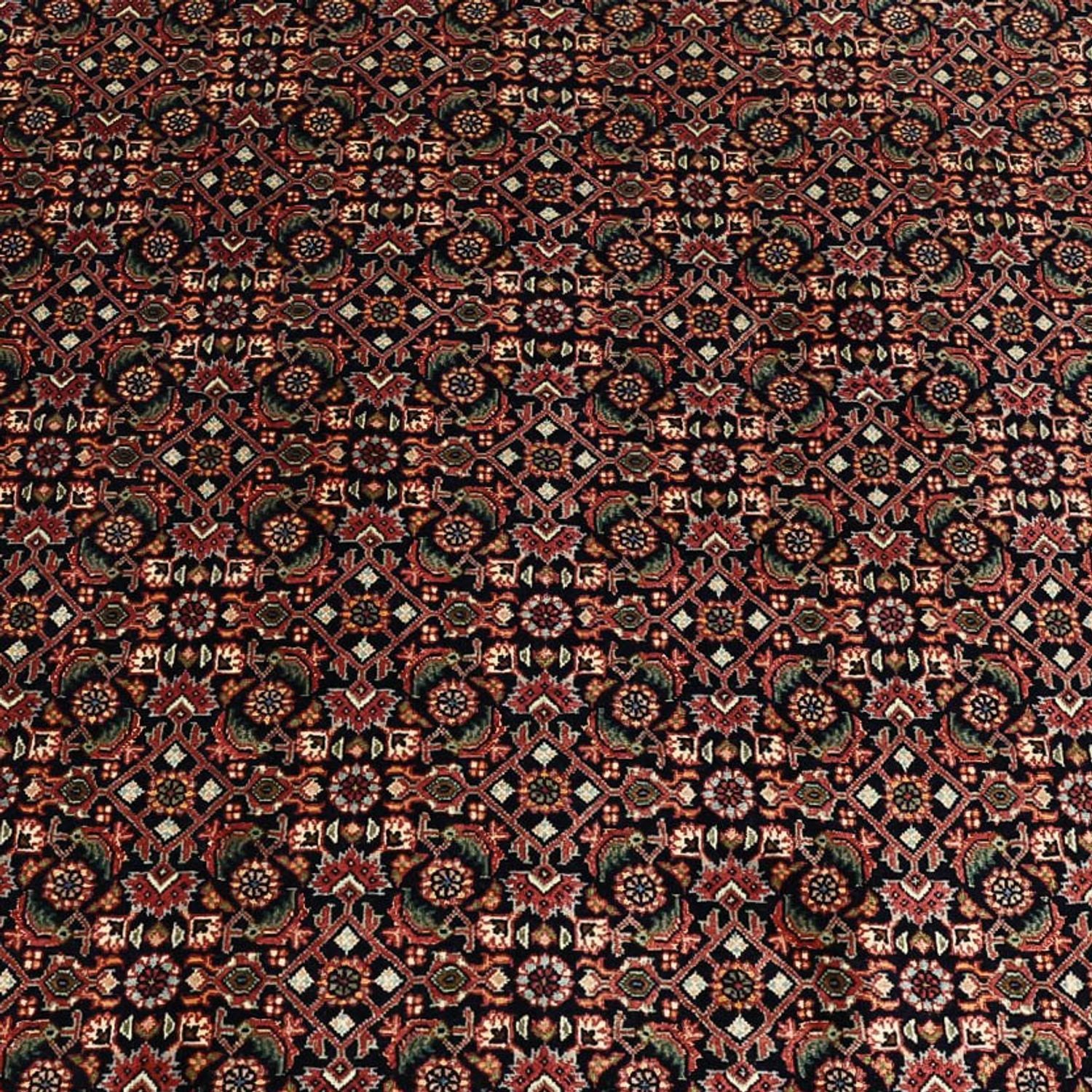 Tappeto Persero - Bidjar - 337 x 255 cm - blu scuro