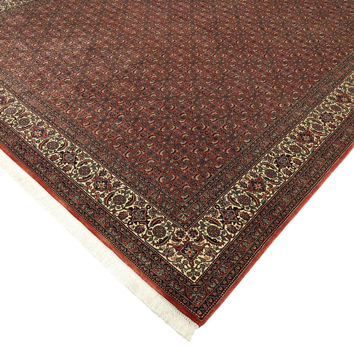 Tappeto Persero - Bidjar - Reale - 350 x 256 cm - rosso scuro