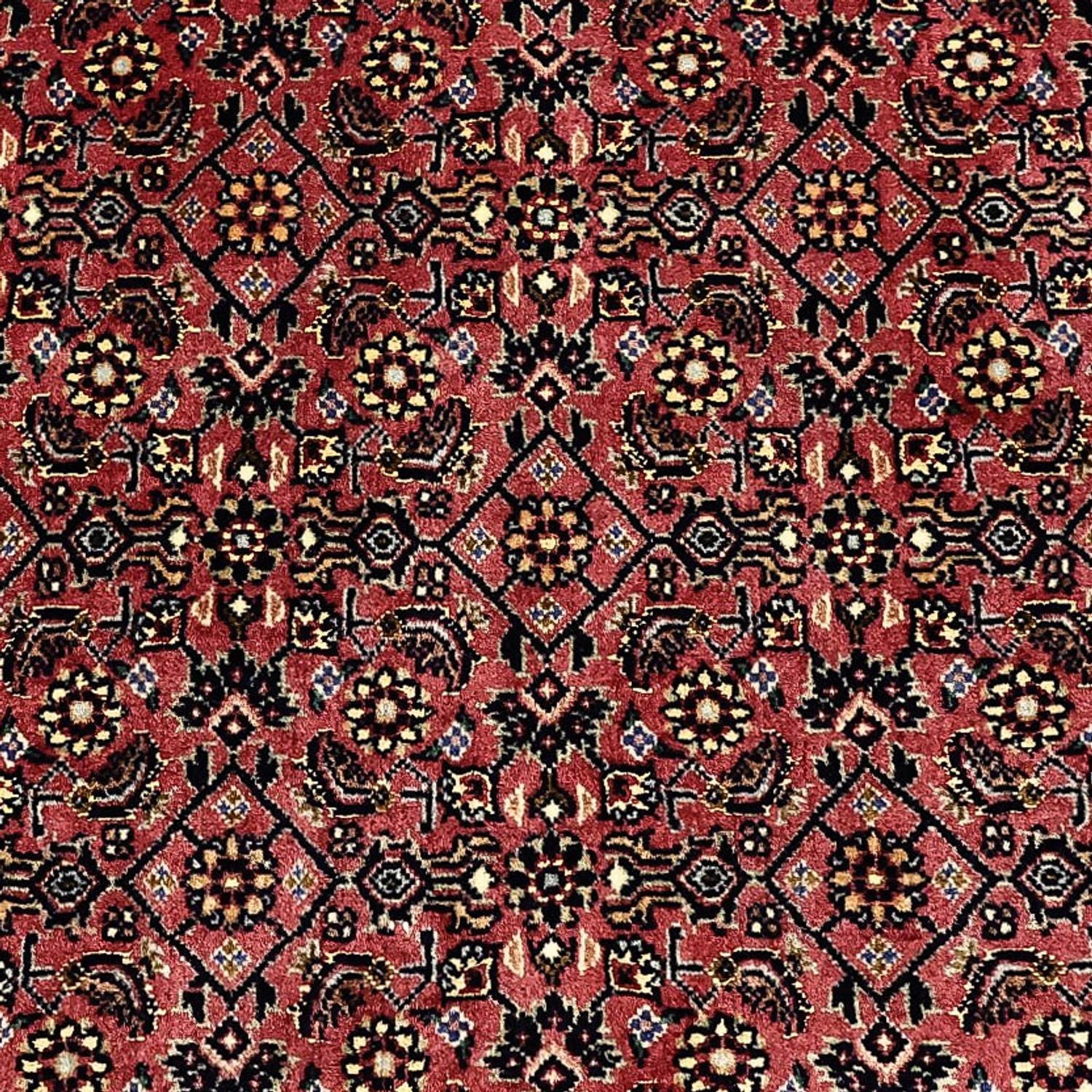 Tappeto Persero - Bidjar - Reale - 204 x 152 cm - beige scuro