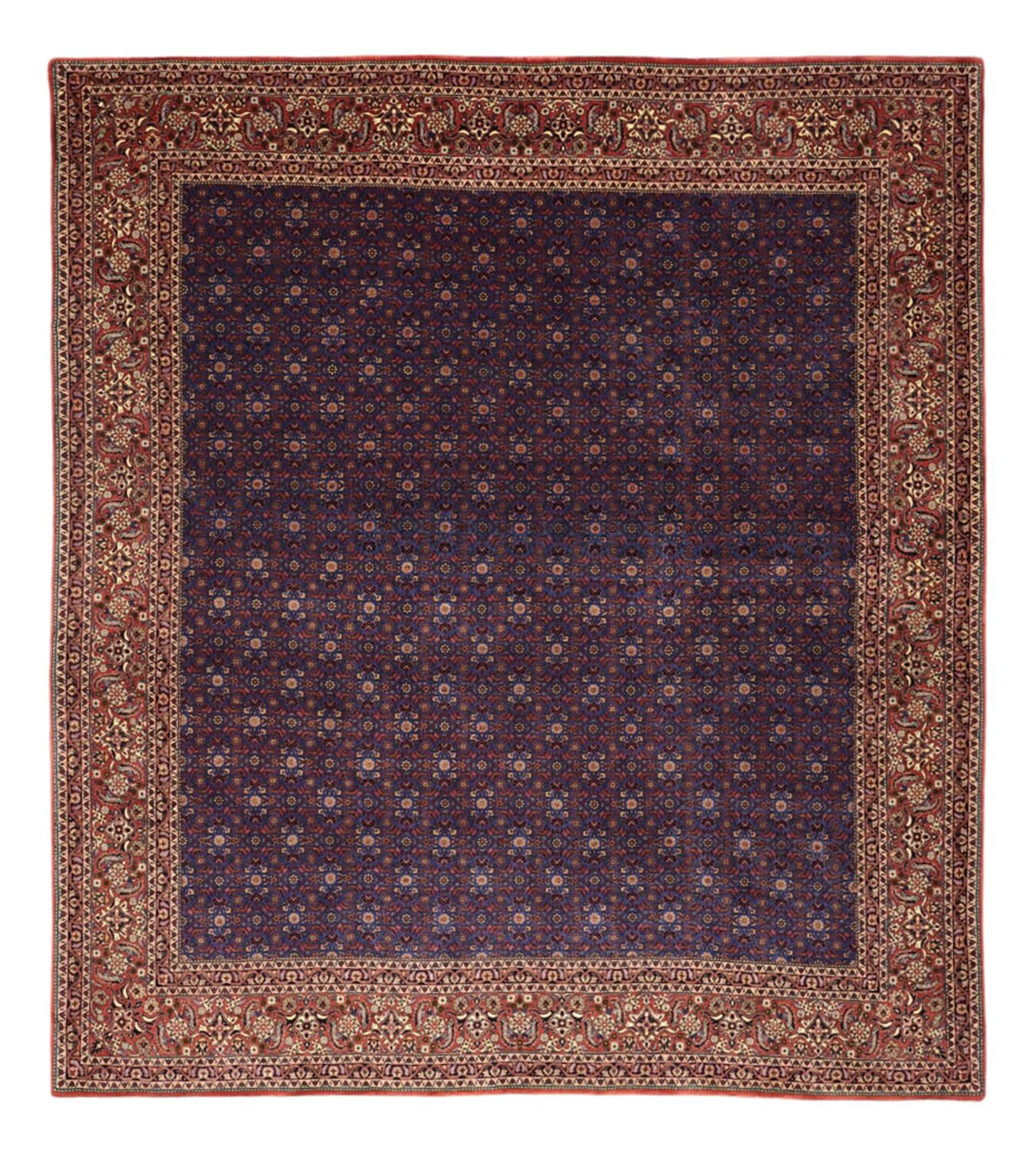 Tappeto Persero - Bidjar - Reale - 286 x 255 cm - blu scuro