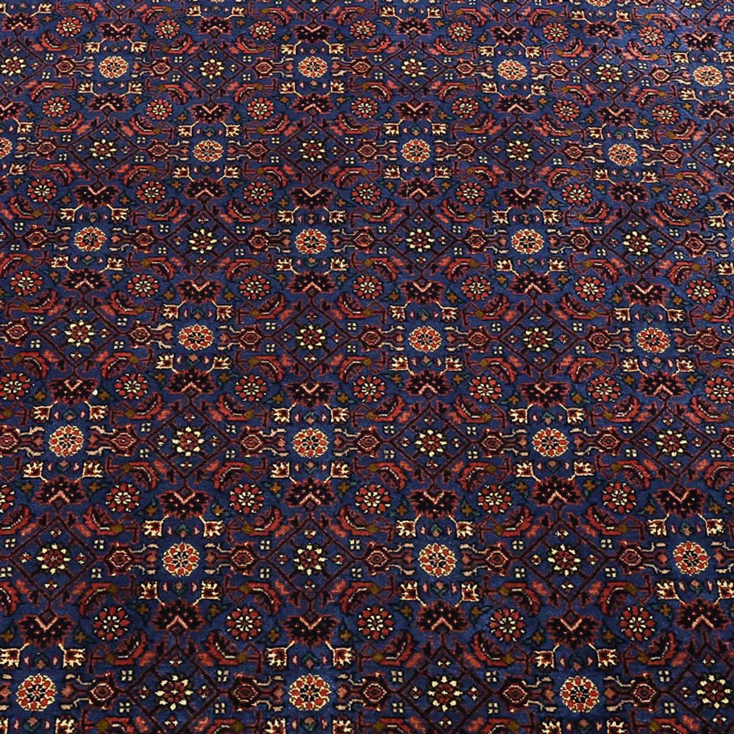 Tappeto Persero - Bidjar - Reale - 286 x 255 cm - blu scuro
