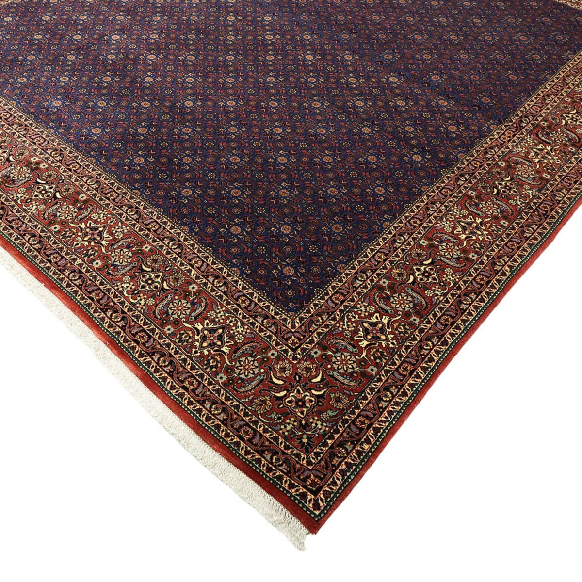 Tappeto Persero - Bidjar - Reale - 286 x 255 cm - blu scuro