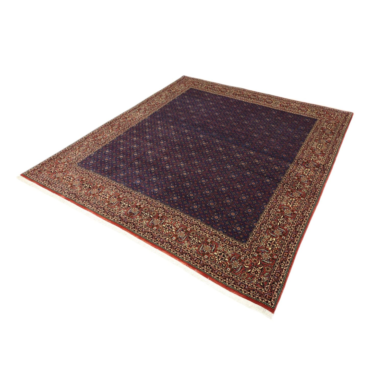 Tappeto Persero - Bidjar - Reale - 286 x 255 cm - blu scuro