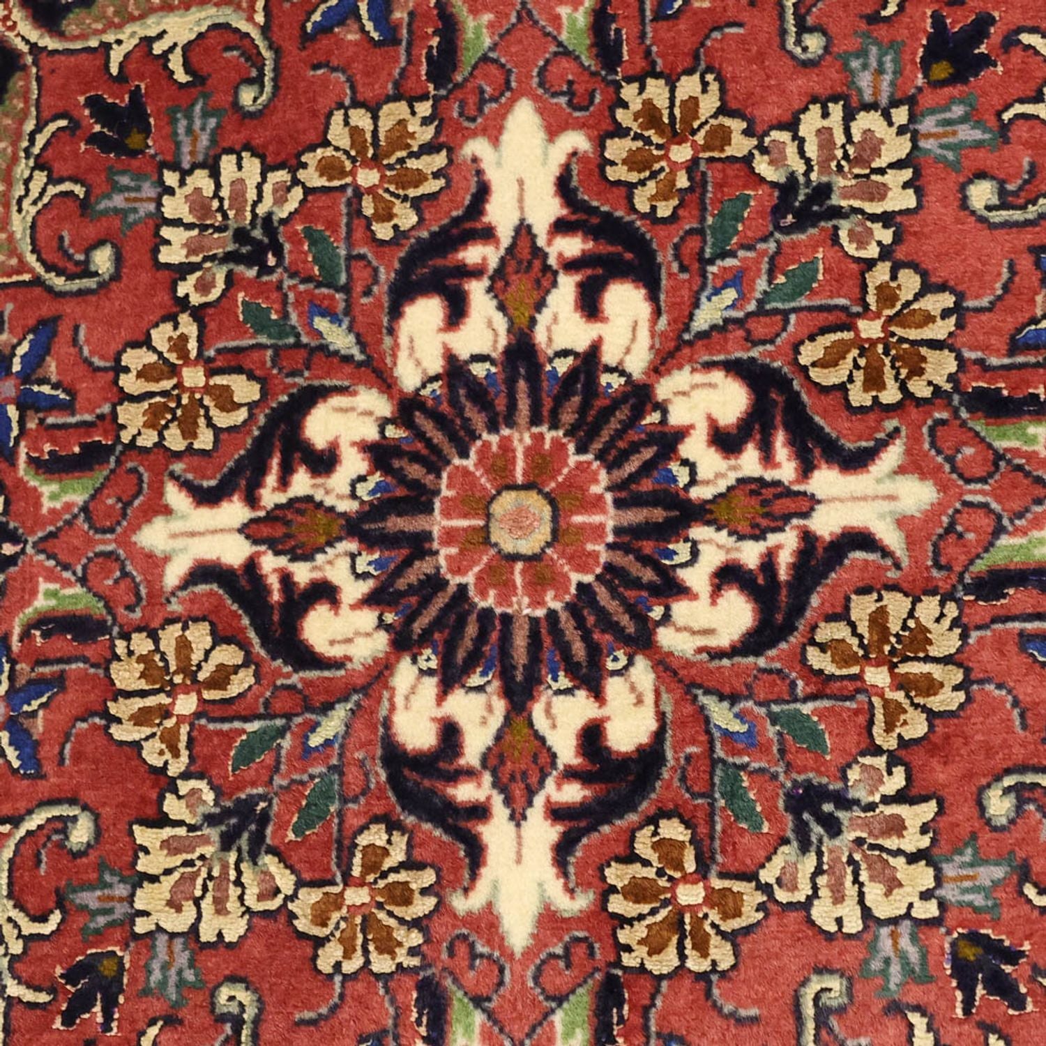 Tappeto Persero - Bidjar - Reale - 148 x 91 cm - ruggine