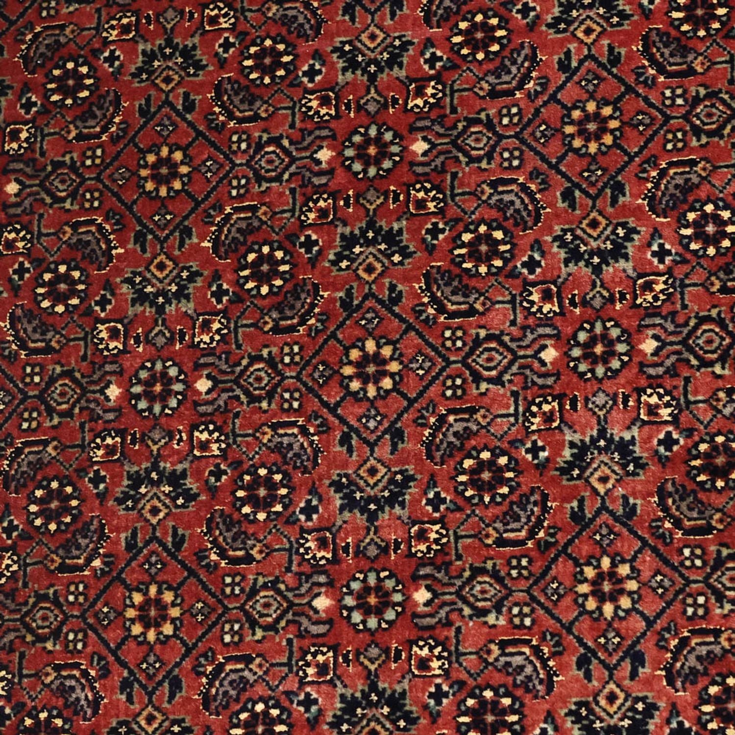 Tappeto Persero - Bidjar - Reale - 148 x 89 cm - ruggine