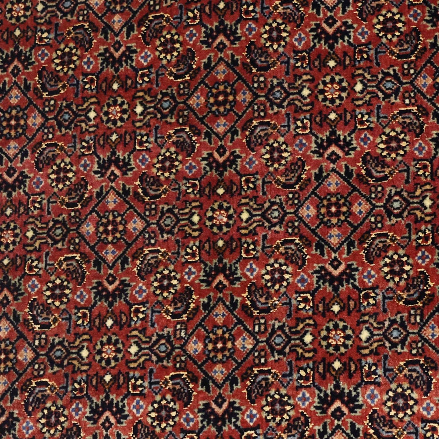 Tappeto Persero - Bidjar - Reale - 148 x 91 cm - beige scuro