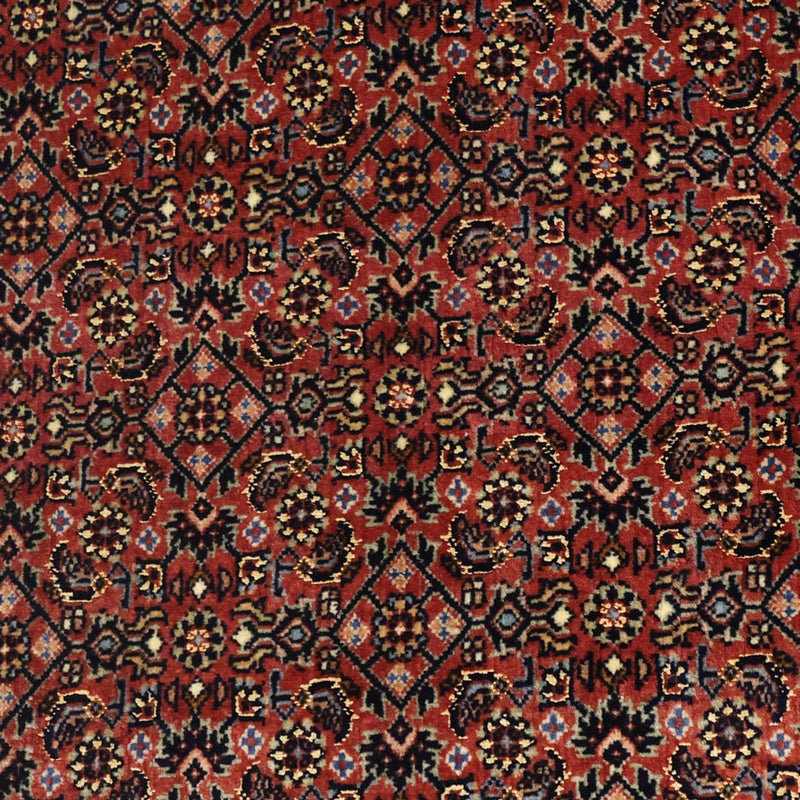 Tappeto Persero - Bidjar - Reale - 148 x 91 cm - beige scuro
