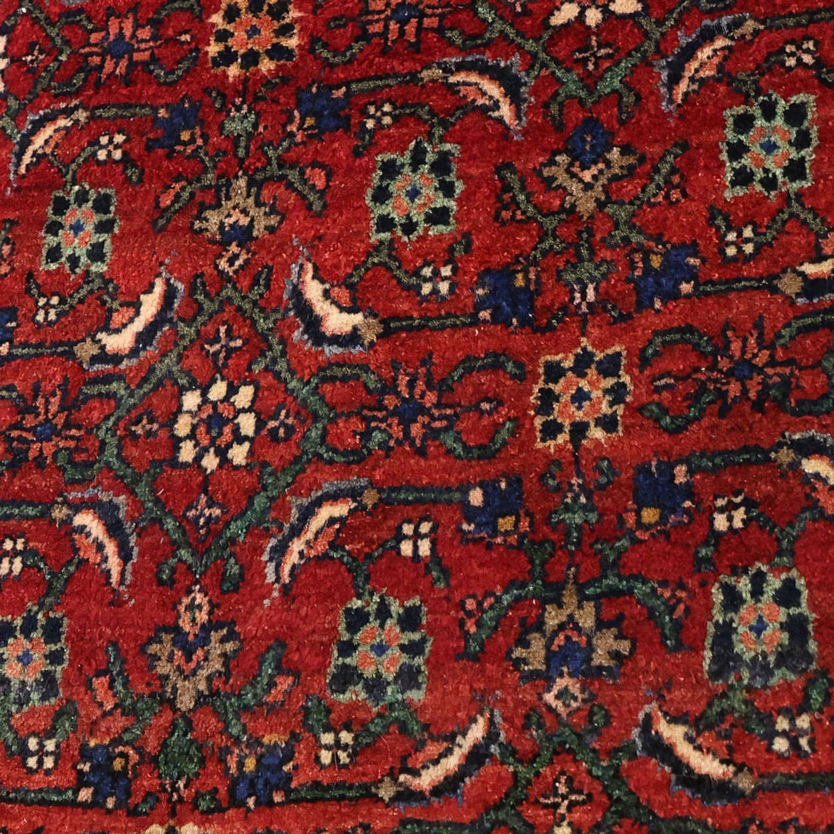 Tappeto Persero - Bidjar - Reale - 288 x 168 cm - rosso scuro