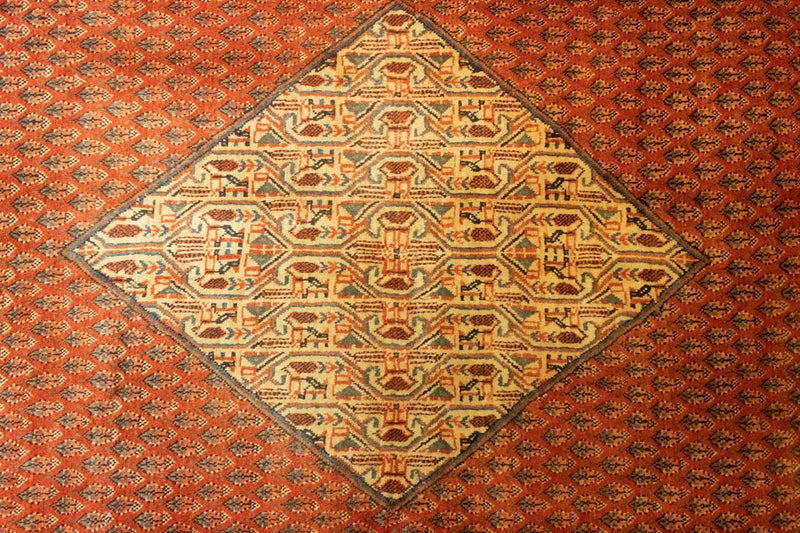 Tappeto Persero - Mir - 300 x 206 cm - arancione