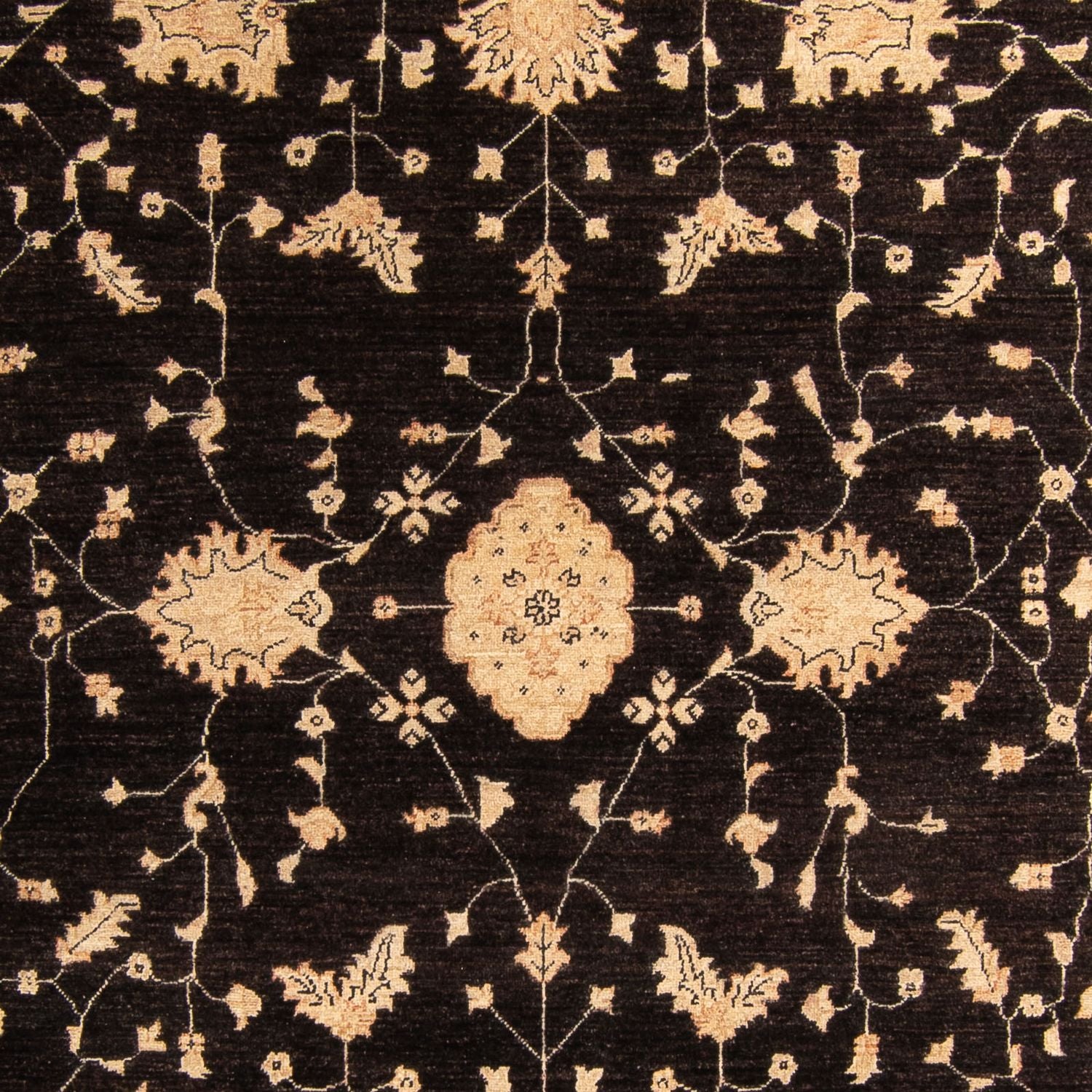 Tappeto Ziegler - 296 x 209 cm - marrone scuro